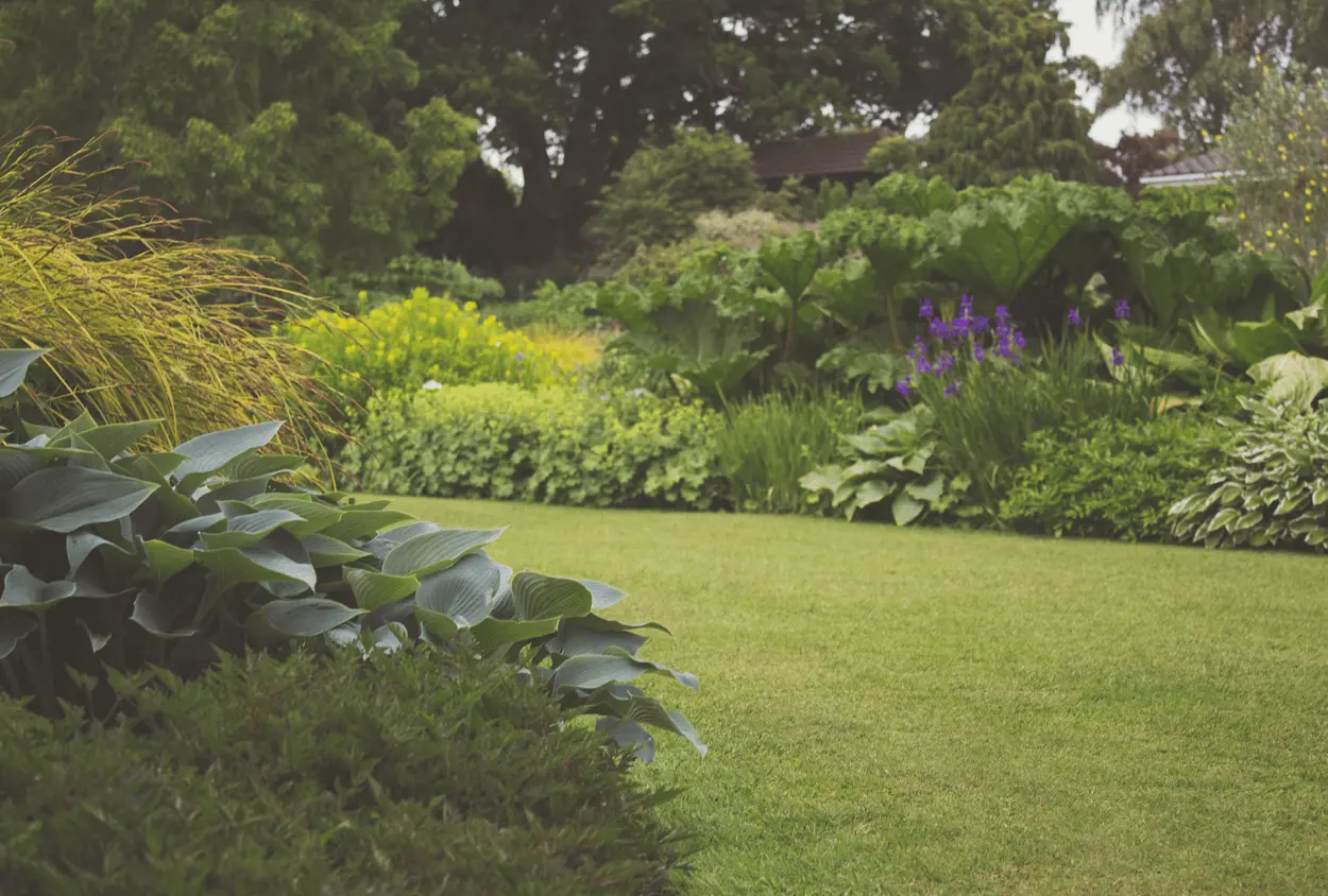 Jardin pour une intallation solaire